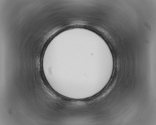 X0000111201113200907291224