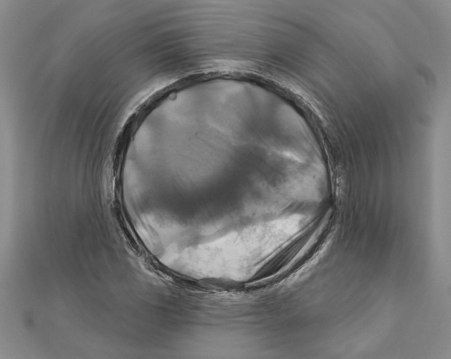 X0000111201117200907291224