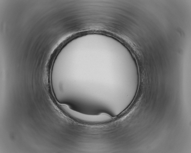 X0000111201118200907291224