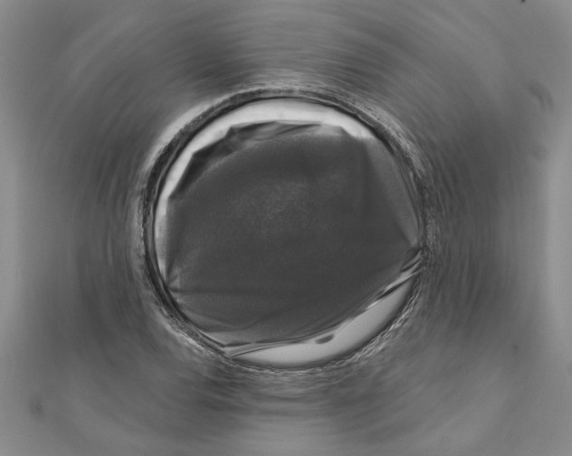 X0000111201120200907291224