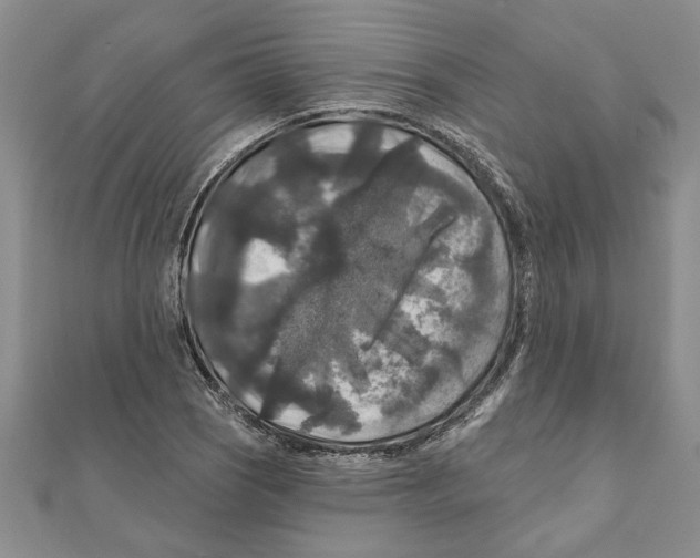 X0000111201121200907291224