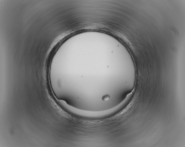 X0000111201122200907291224