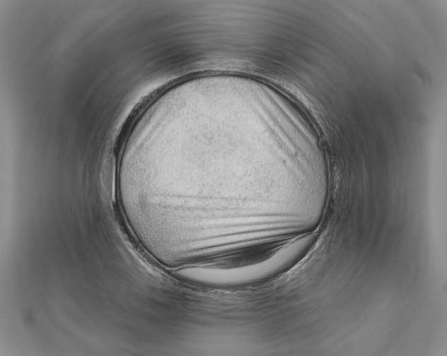 X0000111201123200907291224