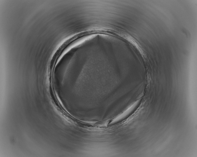 X0000111201124200907291224