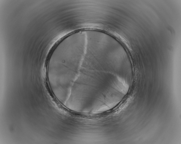 X0000111201125200907291224