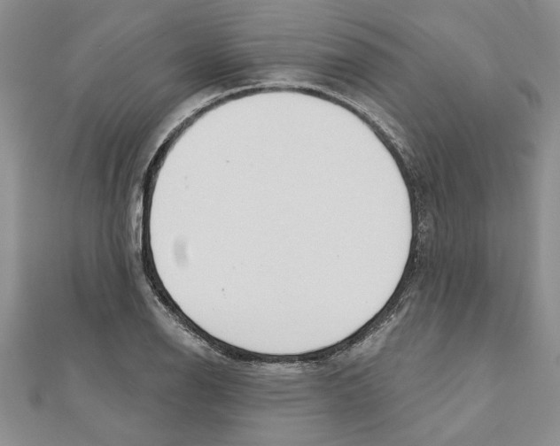 X0000111201126200907291224