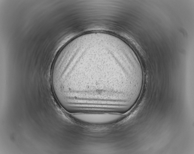 X0000111201129200907291224