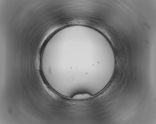 X0000111201131200907291224