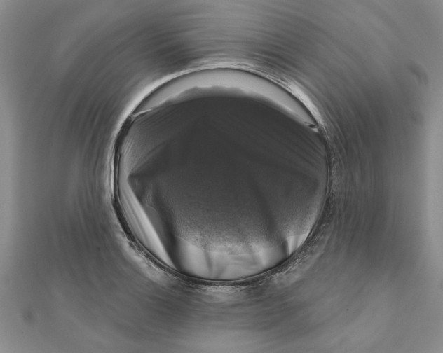 X0000111201132200907291224