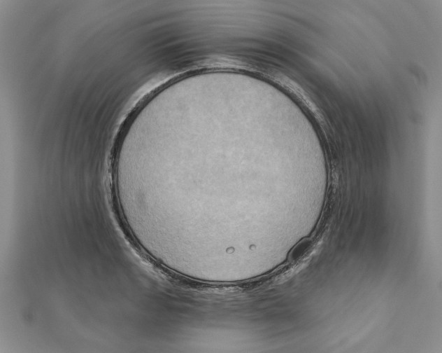 X0000111201133200907291224