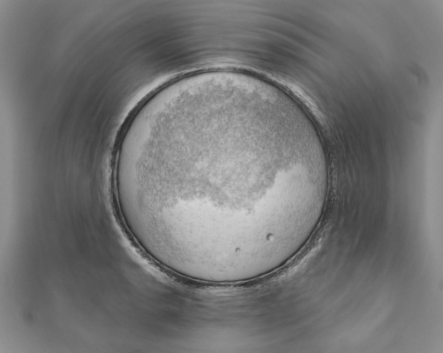 X0000111201134200907291224