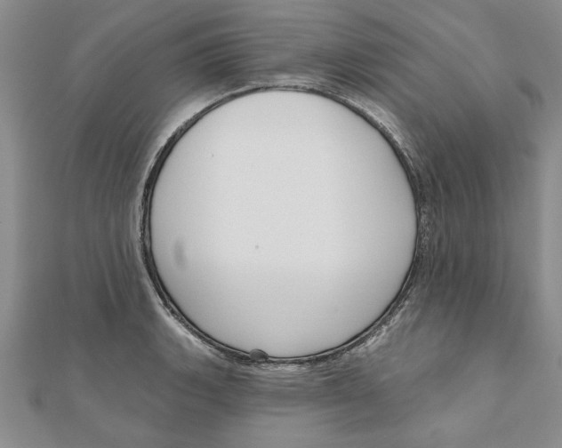 X0000111201135200907291224