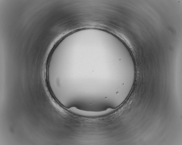 X0000111201136200907291224