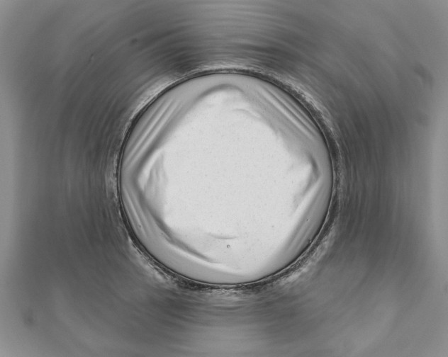 X0000111201137200907291224