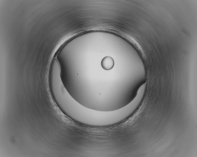 X0000111201138200907291224