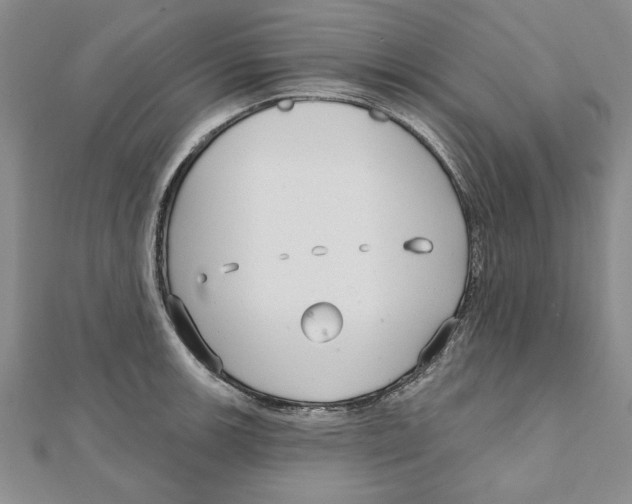 X0000111201139200907291224