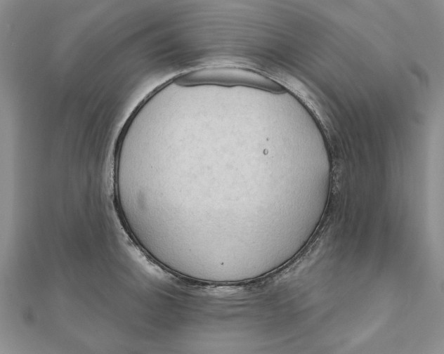 X0000111201140200907291224