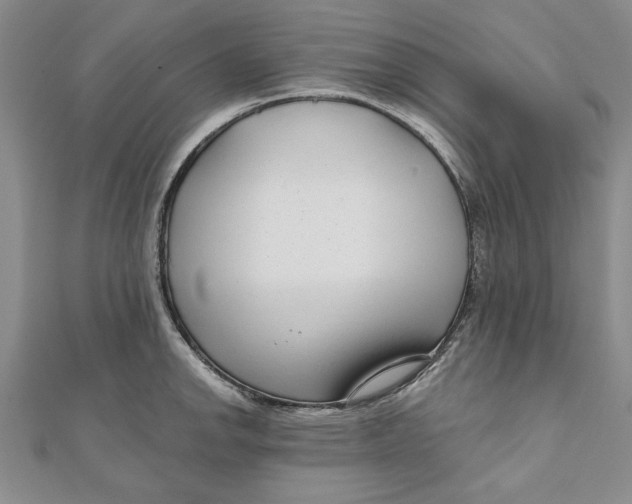 X0000111201142200907291224