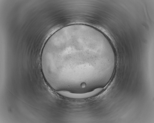 X0000111201145200907291224