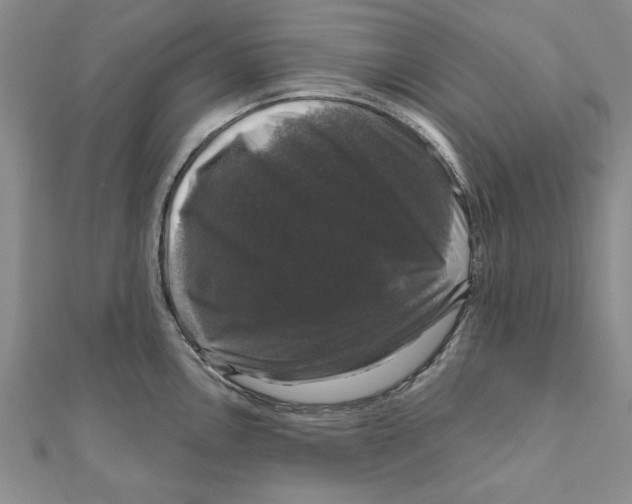 X0000111201146200907291224