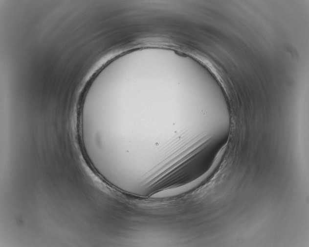 X0000111201147200907291224