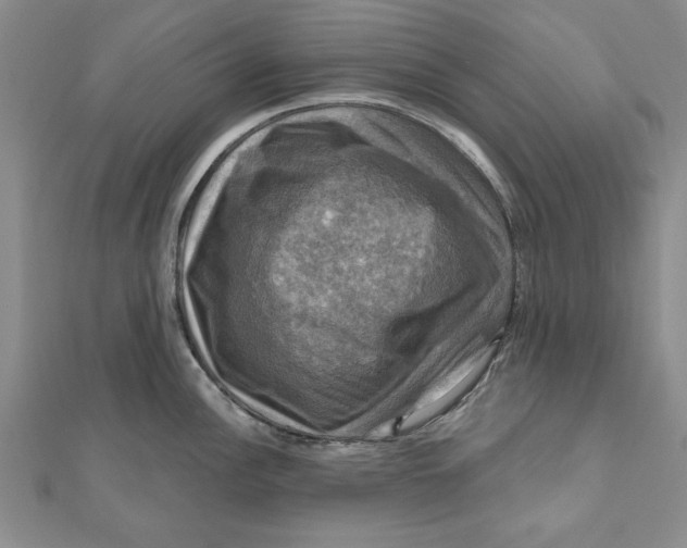 X0000111201148200907291224