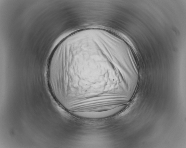 X0000111201149200907291225