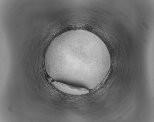 X0000111201153200907291224