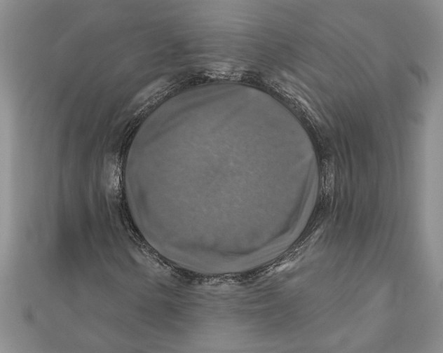 X0000111201154200907291224