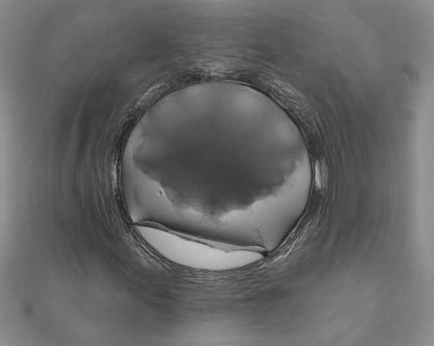 X0000111201155200907291224