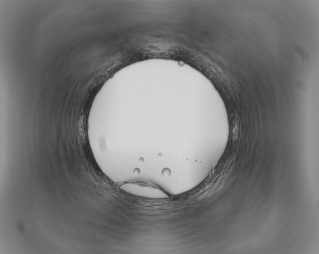 X0000111201156200907291224