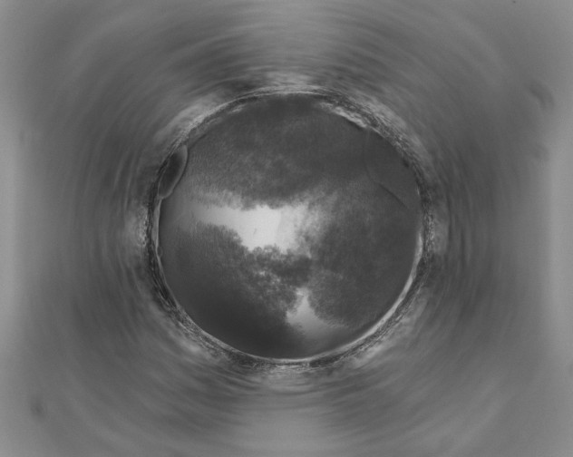 X0000111201161200907291224