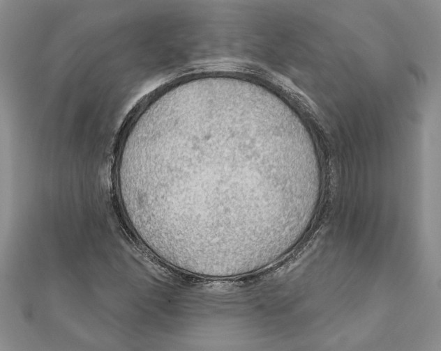 X0000111201166200907291224