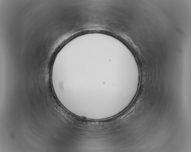 X0000111201167200907291224