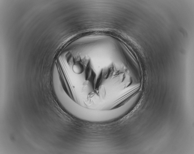 X0000111201169200907291224