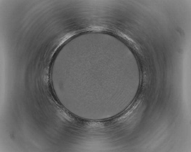 X0000111201170200907291224