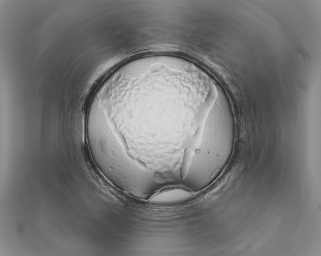 X0000111201171200907291224