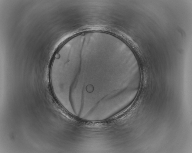 X0000111201174200907291223