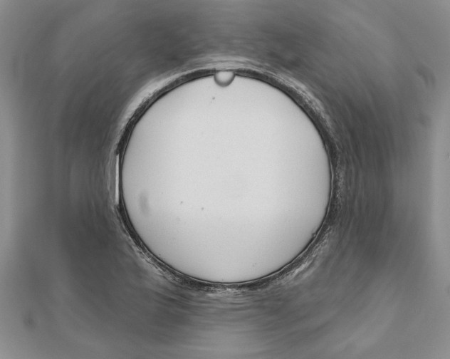 X0000111201175200907291223