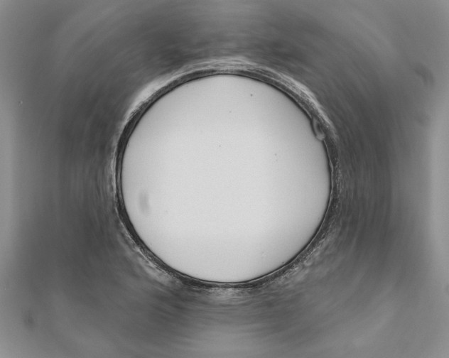 X0000111201176200907291223