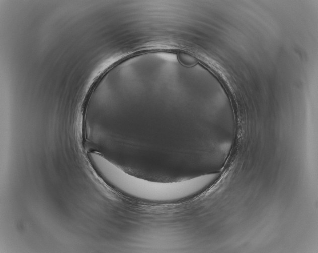 X0000111201179200907291223