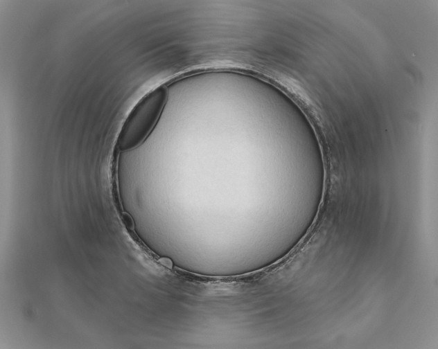 X0000111201181200907291223