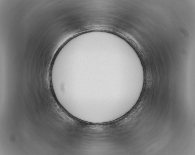 X0000111201182200907291223