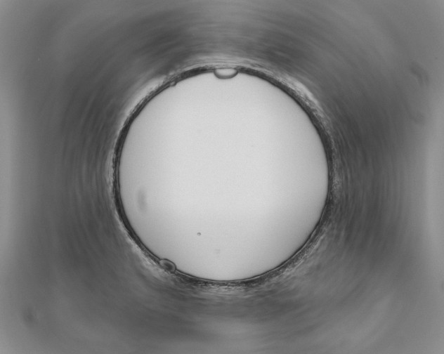 X0000111201183200907291223