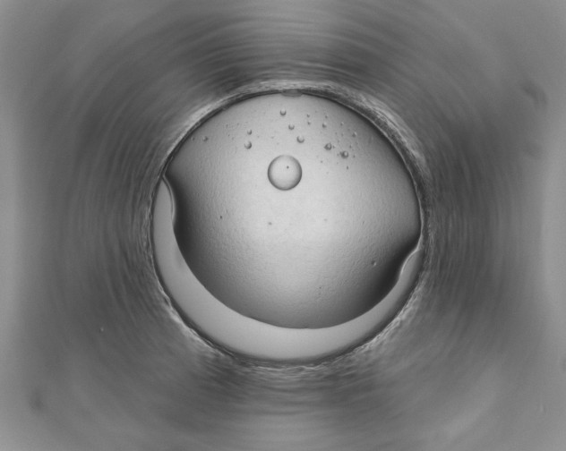 X0000111201185200907291223