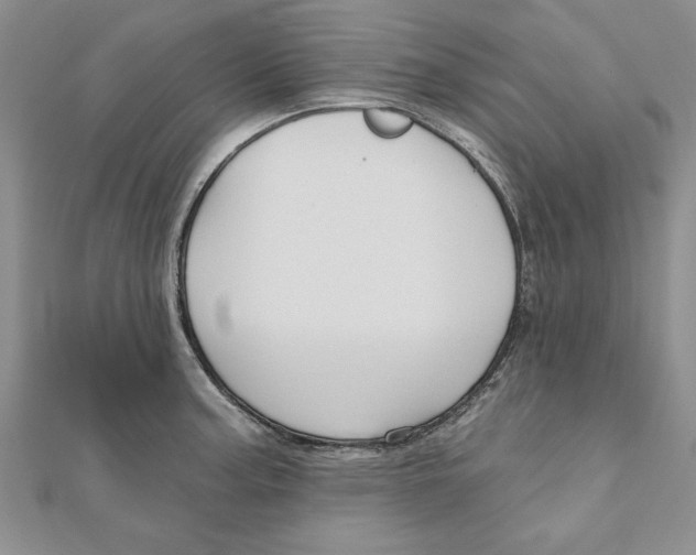 X0000111201187200907291223