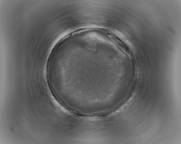 X0000111201189200907291223