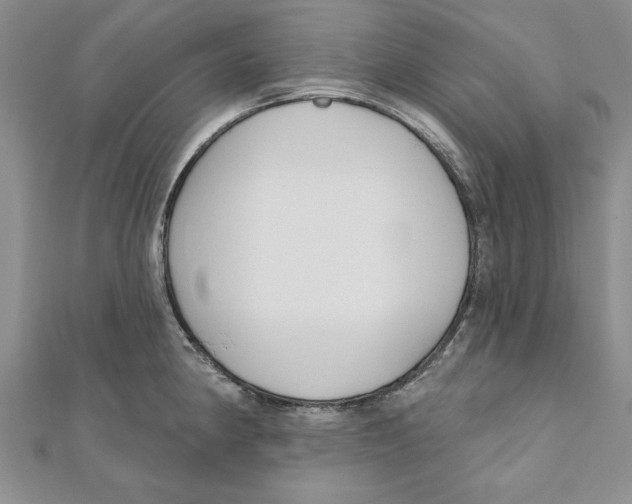 X0000111201190200907291223