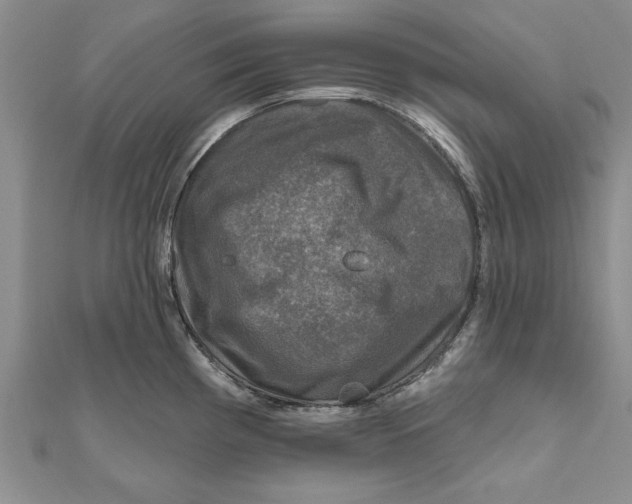 X0000111201193200907291223