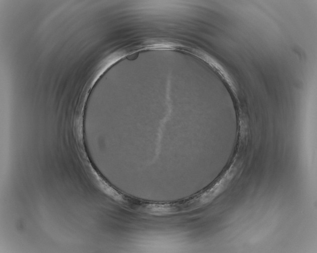 X0000111201194200907291223